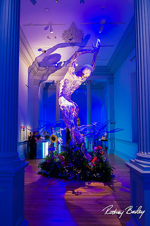 Host-Your-Event-at-the-Smithsonian-Washington-DC-event-photographers-Rodney-Bailey-photography__0048