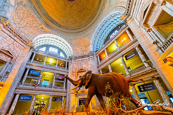 Host-Your-Event-at-the-Smithsonian-Washington-DC-event-photographers-Rodney-Bailey-photography__0050