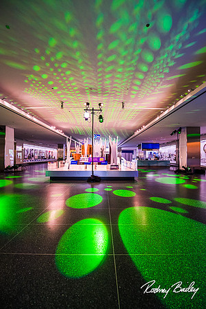 Host-Your-Event-at-the-Smithsonian-Washington-DC-event-photographers-Rodney-Bailey-photography__0060
