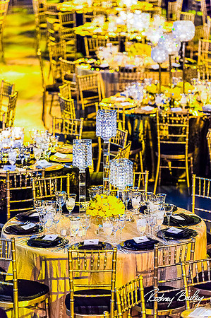 Host-Your-Event-at-the-Smithsonian-Washington-DC-event-photographers-Rodney-Bailey-photography__0077