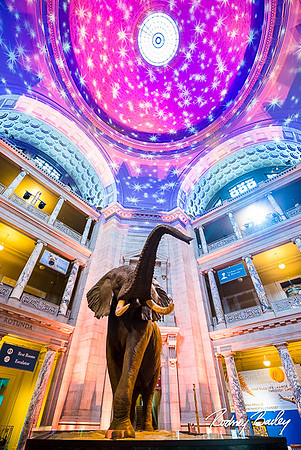 Host-Your-Event-at-the-Smithsonian-Washington-DC-event-photographers-Rodney-Bailey-photography__0086