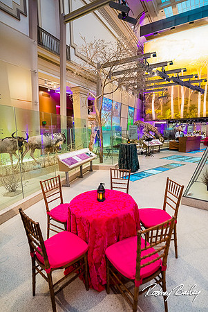 Host-Your-Event-at-the-Smithsonian-Washington-DC-event-photographers-Rodney-Bailey-photography__0090
