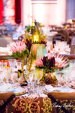 Host-Your-Event-at-the-Smithsonian-Washington-DC-event-photographers-Rodney-Bailey-photography__0093