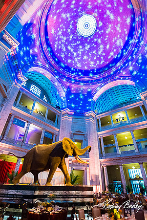 Host-Your-Event-at-the-Smithsonian-Washington-DC-event-photographers-Rodney-Bailey-photography__0098