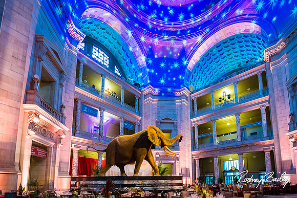 Host-Your-Event-at-the-Smithsonian-Washington-DC-event-photographers-Rodney-Bailey-photography__0099