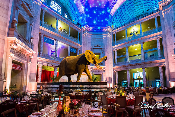 Host-Your-Event-at-the-Smithsonian-Washington-DC-event-photographers-Rodney-Bailey-photography__0100