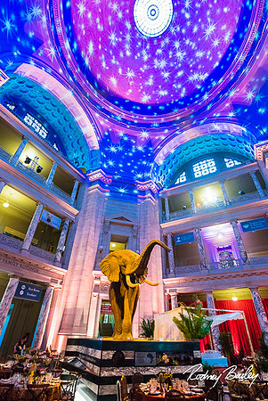 Host-Your-Event-at-the-Smithsonian-Washington-DC-event-photographers-Rodney-Bailey-photography__0101