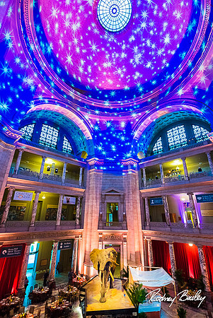 Host-Your-Event-at-the-Smithsonian-Washington-DC-event-photographers-Rodney-Bailey-photography__0103