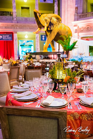Host-Your-Event-at-the-Smithsonian-Washington-DC-event-photographers-Rodney-Bailey-photography__0106