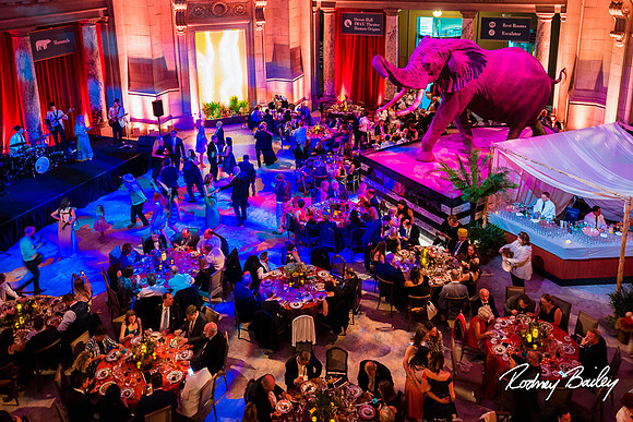 Host-Your-Event-at-the-Smithsonian-Washington-DC-event-photographers-Rodney-Bailey-photography__0109