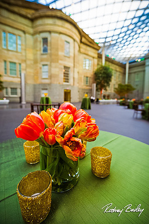 Host-Your-Event-at-the-Smithsonian-Washington-DC-event-photographers-Rodney-Bailey-photography__0113