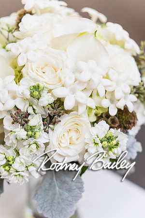 0078_10-26-14_The Atrium at Meadowlark Gardens Wedding_ Open House_Rodney Bailey Photography