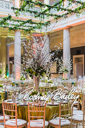 4-25-14 CORCORAN BALL DECOR_Rodney Bailey Photography_EventPhotojournalism_0357