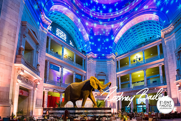 Host-Your-Event-at-the-Smithsonian-Washington-DC-event-photographers-Event-Photojournalism-photography__0099