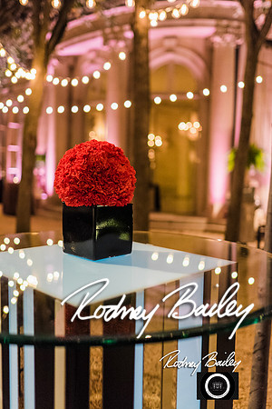 0071__10-17-14 MERIDIAN BALL_RODNEY BAILEY PHOTOGRAPHY_Meridian House Washington DC