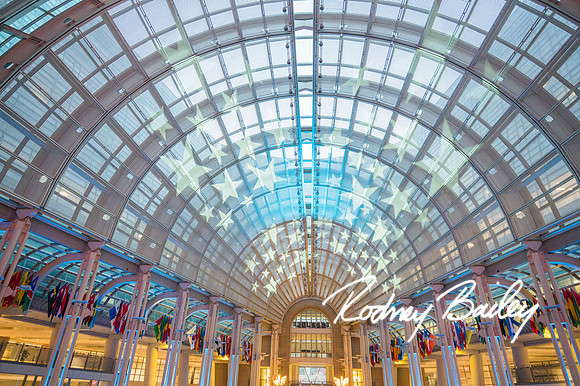 Washington-DC-Symposium-photographers-Rodney-Bailey-Photography__0007