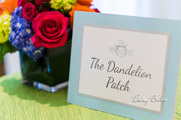 0143__3-1-15_Capital Bridal Affair and Fashion Show_The Mayflower Renaissance_Washington DC_Wedding Photography by Rodney Bailey