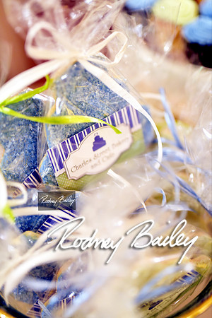 0111_3-1-15_ C a p i t a l   B r i d a l   A f f a i r  &  F a s h i o n   S h o w_Rodney Bailey Wedding Photography Washington DC_Mayflower Hotel DC