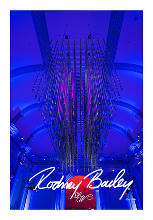1008_1-11-25_Paul-50th-Birthday-Celebration-Renwick-Gallery-Washington-DC-Rodney-Bailey-Photography