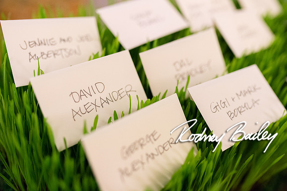 4-5-14 WILLARD DECOR_RODNEY BAILEY PHOTOGRAPHY_048