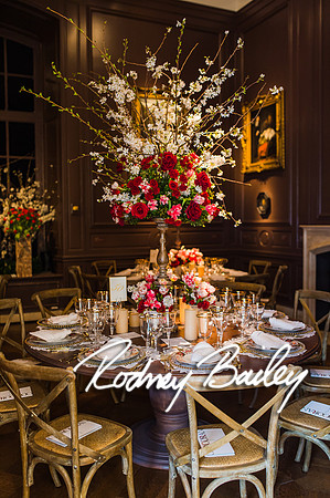 4-25-14 CORCORAN BALL DECOR_Rodney Bailey Photography_EventPhotojournalism_0188
