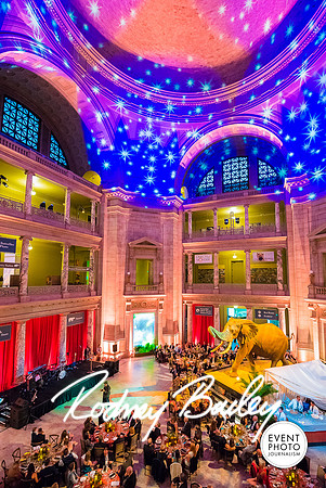 Host-Your-Event-at-the-Smithsonian-Washington-DC-event-photographers-Event-Photojournalism-photography__0108
