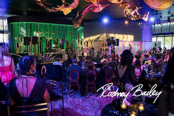 0547__8-2-25_Damien-Dwin-Celebration-National-Museum-of-African-American-Museum-Washington-DC-event-Rodney-Bailey-Photography