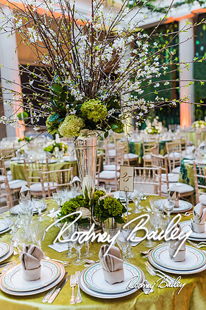 4-25-14 CORCORAN BALL DECOR_Rodney Bailey Photography_EventPhotojournalism_0320