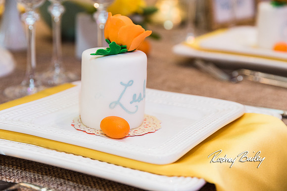 0097__3-1-15_Capital Bridal Affair and Fashion Show_The Mayflower Renaissance_Washington DC_Wedding Photography by Rodney Bailey