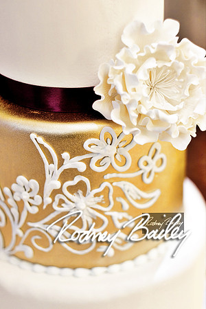 0105_3-1-15_ C a p i t a l   B r i d a l   A f f a i r  &  F a s h i o n   S h o w_Rodney Bailey Wedding Photography Washington DC_Mayflower Hotel DC