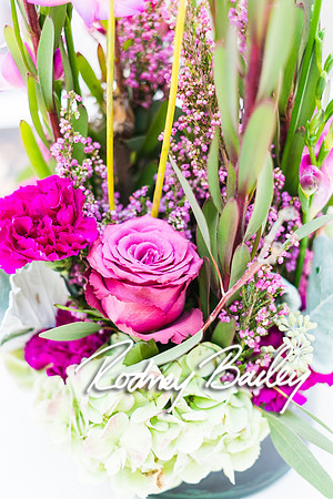 0051_10-26-14_The Atrium at Meadowlark Gardens Wedding_ Open House_Rodney Bailey Photography