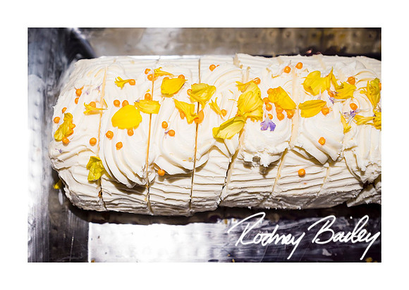 1088_1-11-25_Paul-50th-Birthday-Celebration-Renwick-Gallery-Washington-DC-Rodney-Bailey-Photography