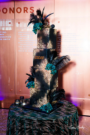 National-Museum-of-African-American-Museum-Washington-DC-event-photos-Rodney-Bailey-Photography__0099