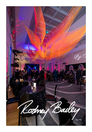 1040_1-11-25_Paul-50th-Birthday-Celebration-Renwick-Gallery-Washington-DC-Rodney-Bailey-Photography