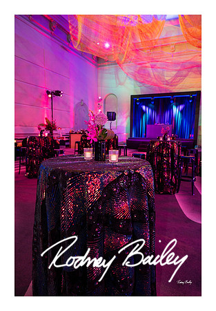 1027_1-11-25_Paul-50th-Birthday-Celebration-Renwick-Gallery-Washington-DC-Rodney-Bailey-Photography