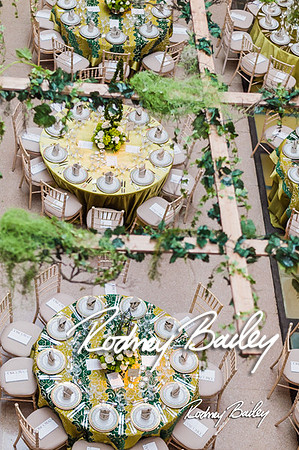4-25-14 CORCORAN BALL DECOR_Rodney Bailey Photography_EventPhotojournalism_0457