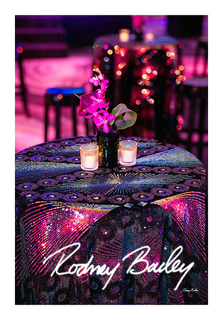 0759_1-11-25_Paul-50th-Birthday-Celebration-Renwick-Gallery-Washington-DC-Rodney-Bailey-Photography