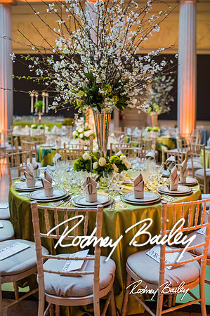 4-25-14 CORCORAN BALL DECOR_Rodney Bailey Photography_EventPhotojournalism_0727