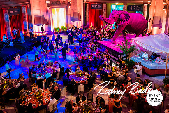 Host-Your-Event-at-the-Smithsonian-Washington-DC-event-photographers-Event-Photojournalism-photography__0109