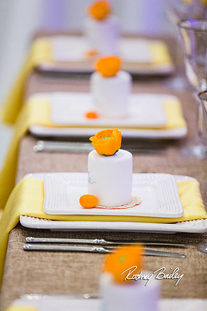 0228__3-1-15_Capital Bridal Affair and Fashion Show_The Mayflower Renaissance_Washington DC_Wedding Photography by Rodney Bailey