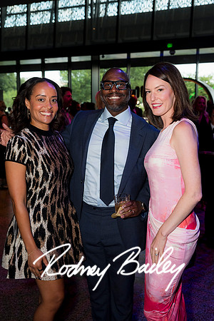 0308__8-2-25_Damien-Dwin-Celebration-National-Museum-of-African-American-Museum-Washington-DC-event-Rodney-Bailey-Photography