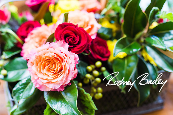 0125__10-28-14 _Bergerons Flowers_Rodney Bailey Photography