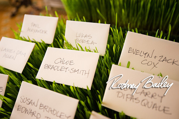 4-5-14 WILLARD DECOR_RODNEY BAILEY PHOTOGRAPHY_136