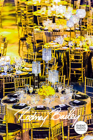 Host-Your-Event-at-the-Smithsonian-Washington-DC-event-photographers-Event-Photojournalism-photography__0077