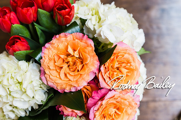 0104__10-28-14 _Bergerons Flowers_Rodney Bailey Photography