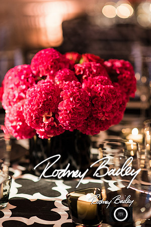 0041__10-17-14 MERIDIAN BALL_RODNEY BAILEY PHOTOGRAPHY_Meridian House Washington DC