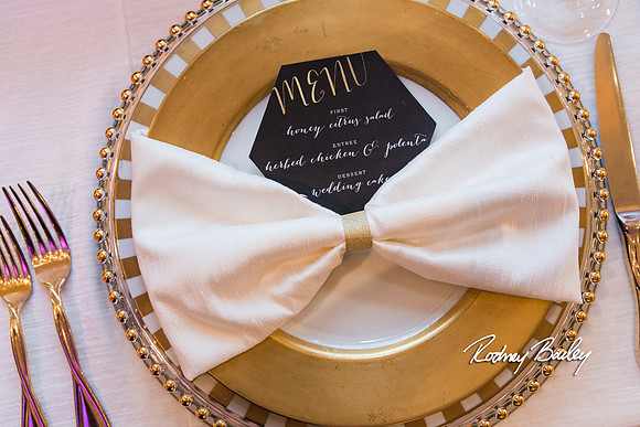 0090__3-1-15_Capital Bridal Affair and Fashion Show_The Mayflower Renaissance_Washington DC_Wedding Photography by Rodney Bailey