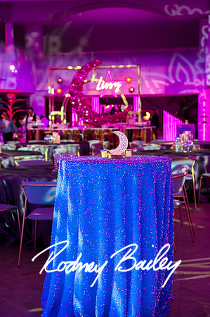 0177__4-13-24_Olivia-Wachs-Bat-Mitzvah-The-Schulyer-DC-Rodney-Bailey-Photographers