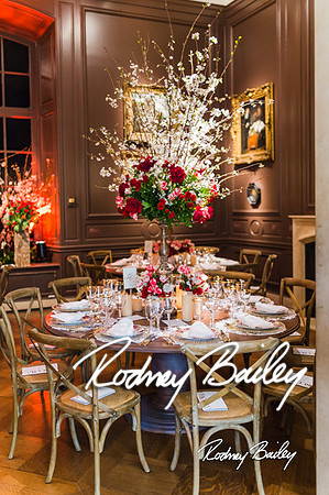 4-25-14 CORCORAN BALL DECOR_Rodney Bailey Photography_EventPhotojournalism_0392