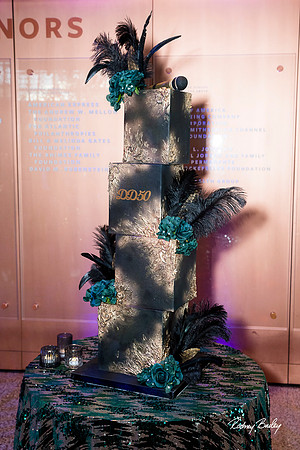 National-Museum-of-African-American-Museum-Washington-DC-event-photos-Rodney-Bailey-Photography__0096